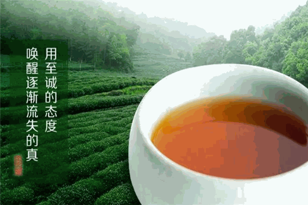 帝峰茶业加盟