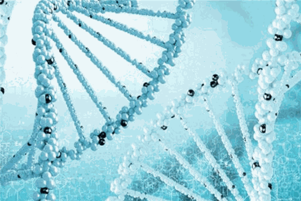 合康谱基因检测加盟