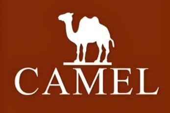 CAMEL加盟